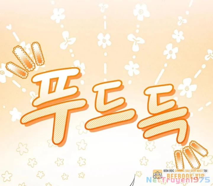 Thiên Tài Phép Thuật Nắm Bắt Khái Niệm Chapter 4 - Trang 2