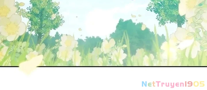 Thiên Tài Phép Thuật Nắm Bắt Khái Niệm Chapter 18 - Trang 2