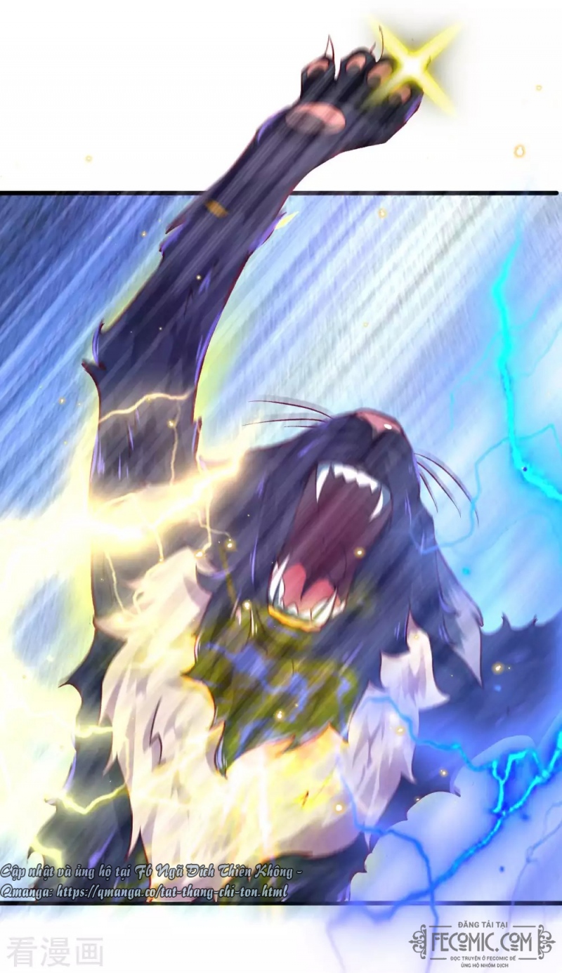 Tất Thắng Chí Tôn Chapter 17 - Trang 2