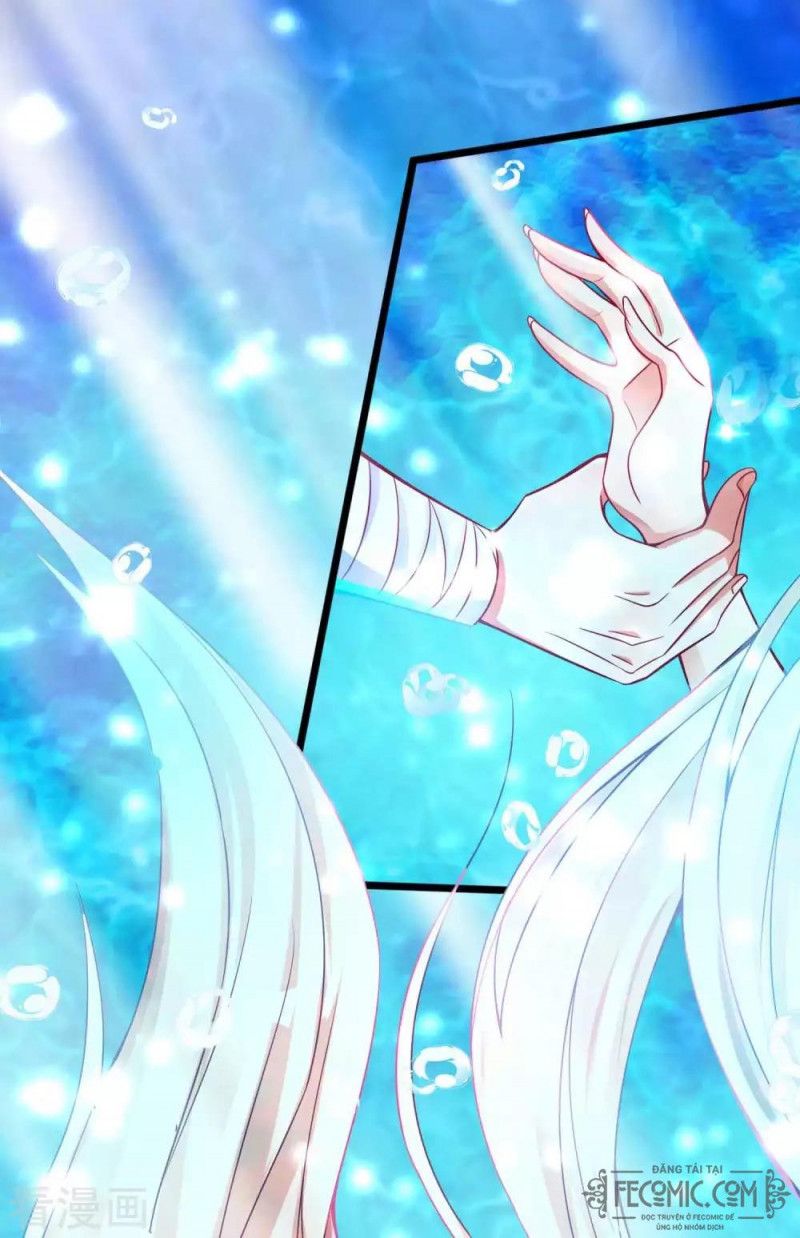 Tất Thắng Chí Tôn Chapter 23 - Trang 2