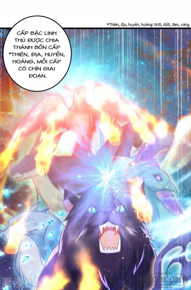 Tất Thắng Chí Tôn Chapter 23 - Trang 2