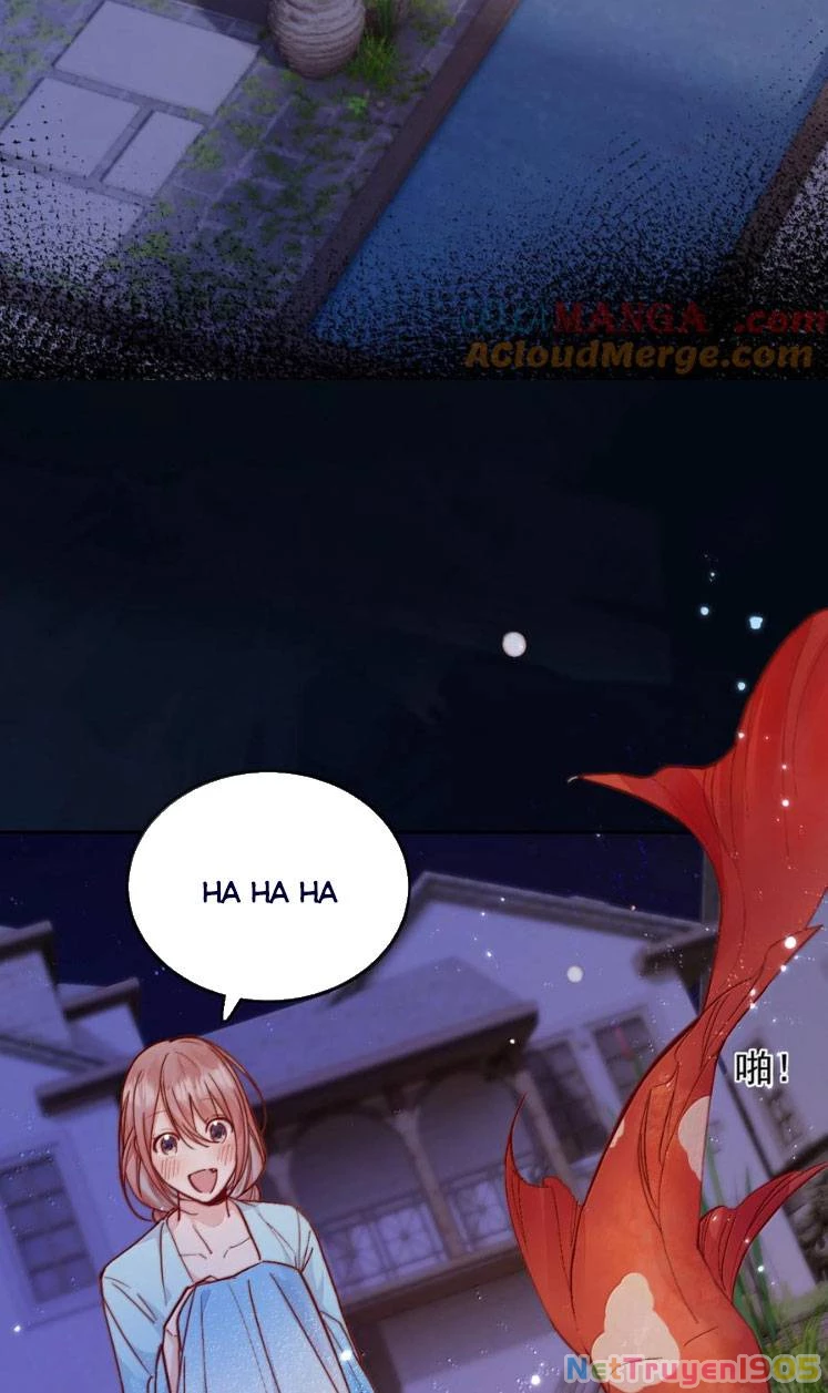 Ánh Mắt Của Kẻ Thù Truyền Kiếp Nhìn Ta Ngày Càng Biến Chất Chapter 79 - Trang 2