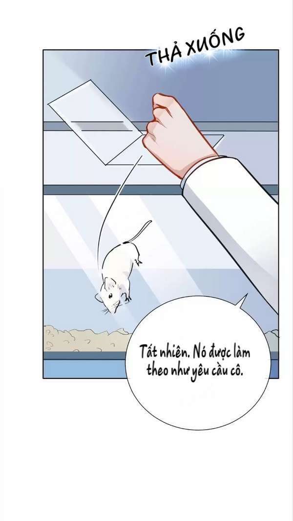 Nữ Hoàng Nửa Mặt Chapter 10 - Trang 2