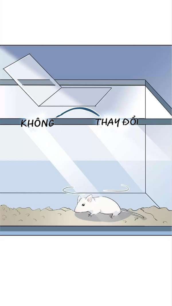 Nữ Hoàng Nửa Mặt Chapter 10 - Trang 2