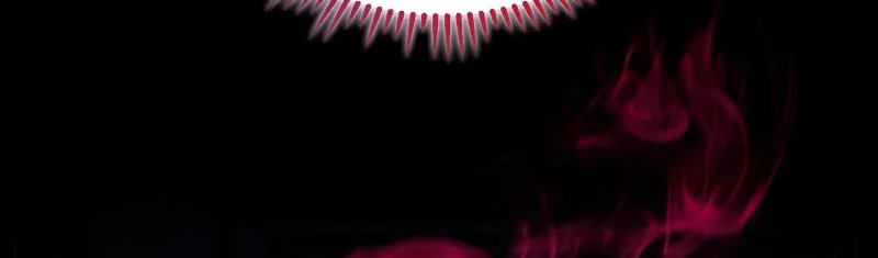 Thợ Săn Số Mệnh Cấp F Chapter 61 - Trang 2