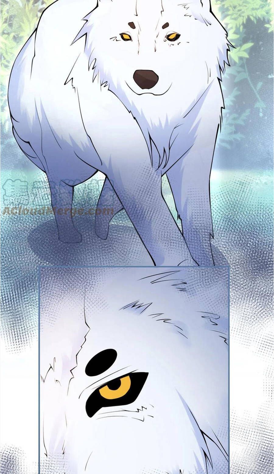 Nam Thành Chờ Trăng Về Chapter 278 - Trang 2