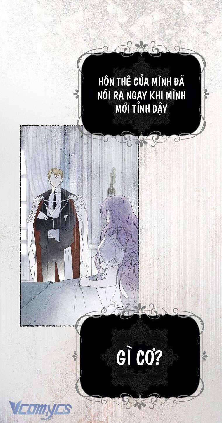 Các Nam Chính Đã Bị Nữ Phụ Cướp Mất Chapter 1 - Trang 2