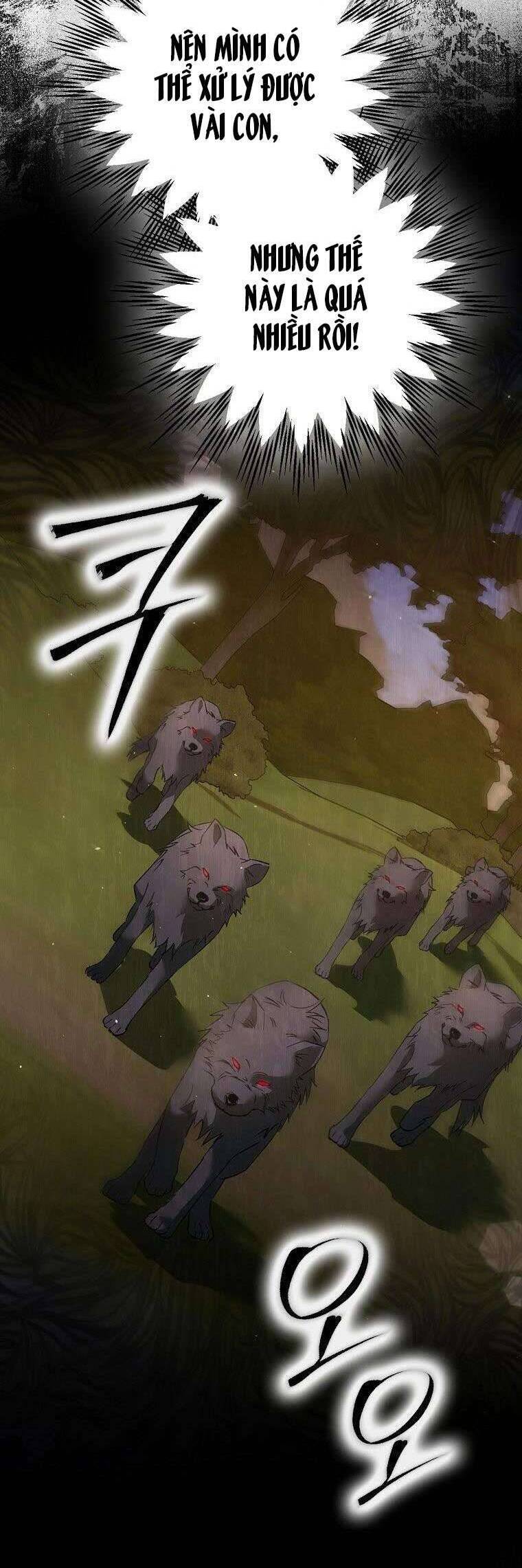 Các Nam Chính Đã Bị Nữ Phụ Cướp Mất Chapter 10 - Trang 2