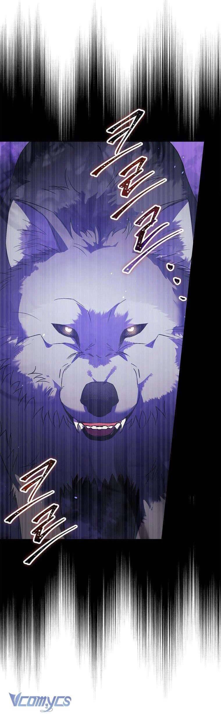 Các Nam Chính Đã Bị Nữ Phụ Cướp Mất Chapter 10 - Trang 2