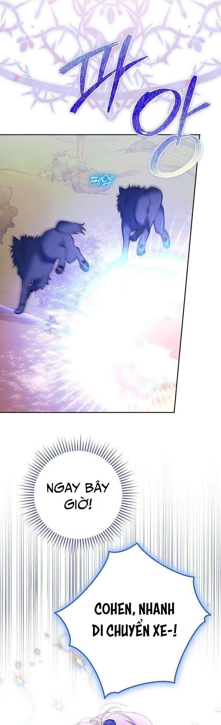 Các Nam Chính Đã Bị Nữ Phụ Cướp Mất Chapter 10 - Trang 2