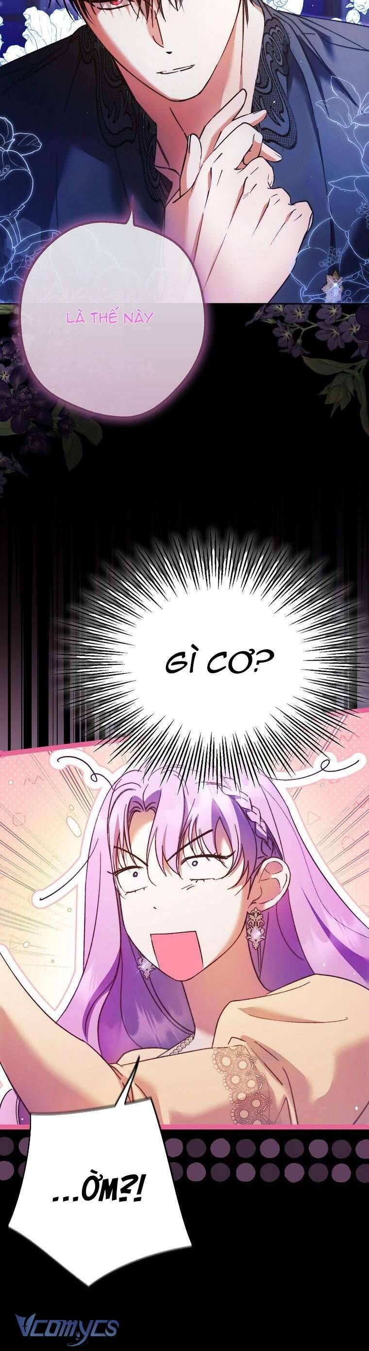 Các Nam Chính Đã Bị Nữ Phụ Cướp Mất Chapter 20 - Trang 2