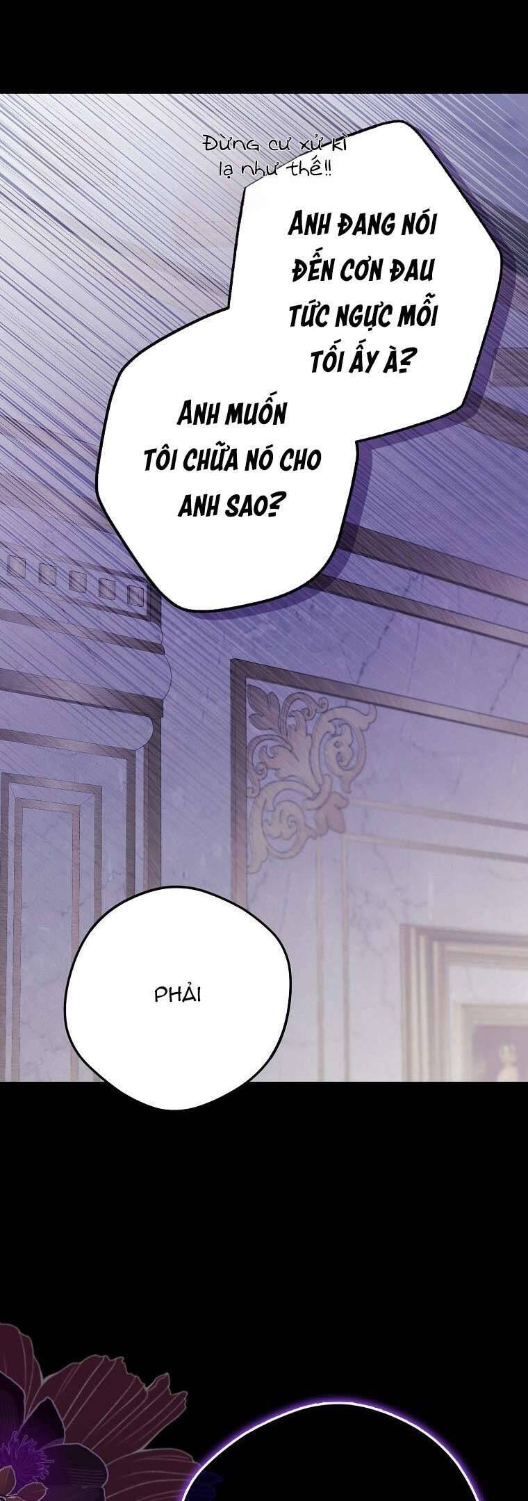 Các Nam Chính Đã Bị Nữ Phụ Cướp Mất Chapter 20 - Trang 2