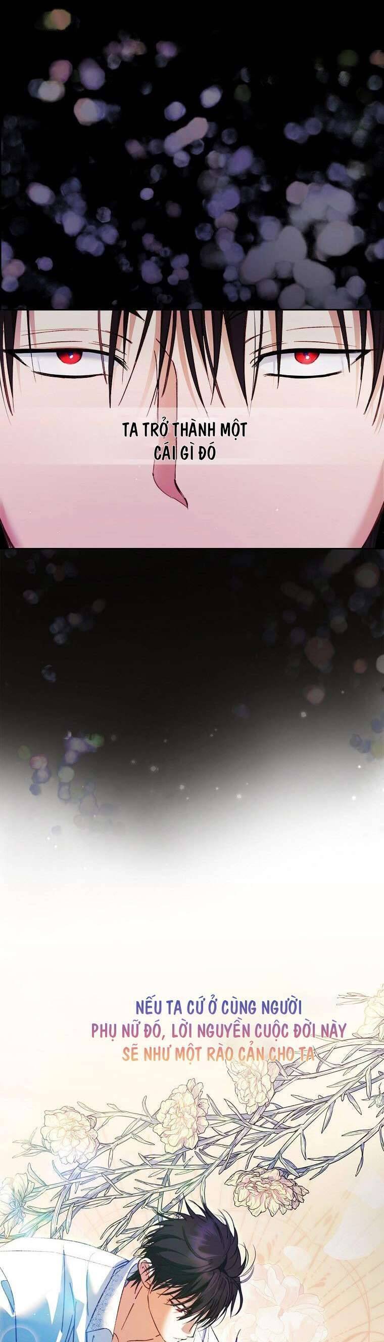 Các Nam Chính Đã Bị Nữ Phụ Cướp Mất Chapter 20 - Trang 2