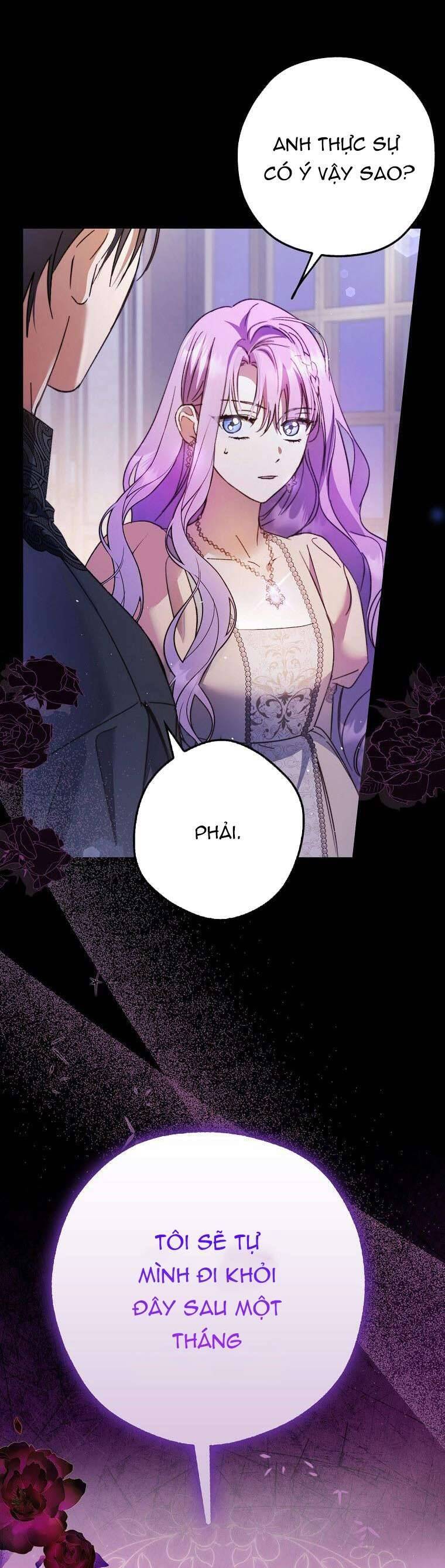 Các Nam Chính Đã Bị Nữ Phụ Cướp Mất Chapter 20 - Trang 2