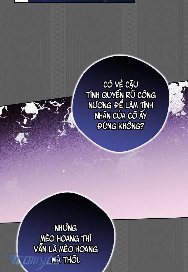 Các Nam Chính Đã Bị Nữ Phụ Cướp Mất Chapter 23 - Trang 2