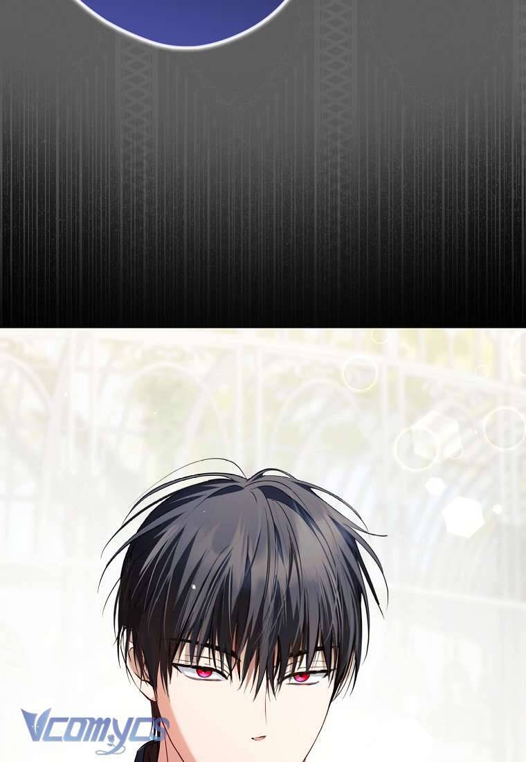 Các Nam Chính Đã Bị Nữ Phụ Cướp Mất Chapter 23 - Trang 2