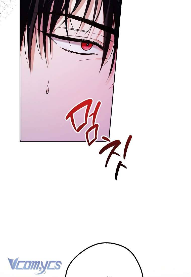 Các Nam Chính Đã Bị Nữ Phụ Cướp Mất Chapter 23 - Trang 2