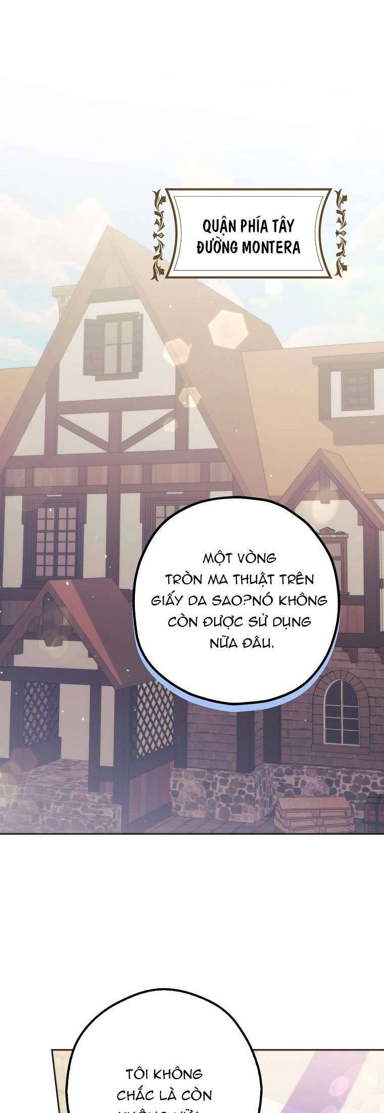 Các Nam Chính Đã Bị Nữ Phụ Cướp Mất Chapter 24 - Trang 2