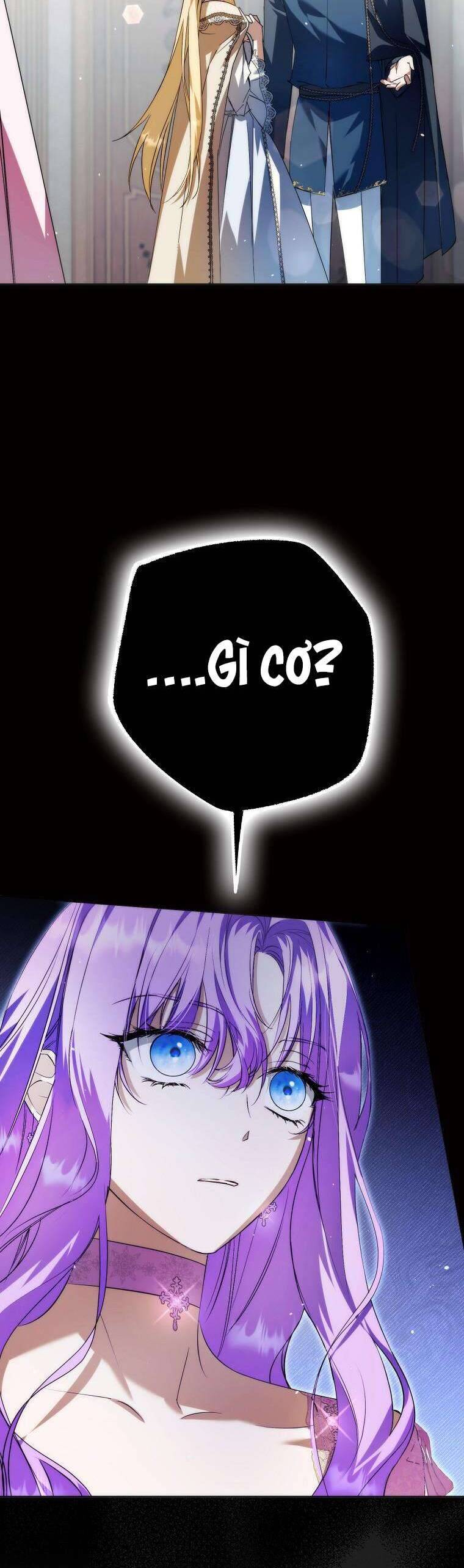 Các Nam Chính Đã Bị Nữ Phụ Cướp Mất Chapter 26 - Trang 2