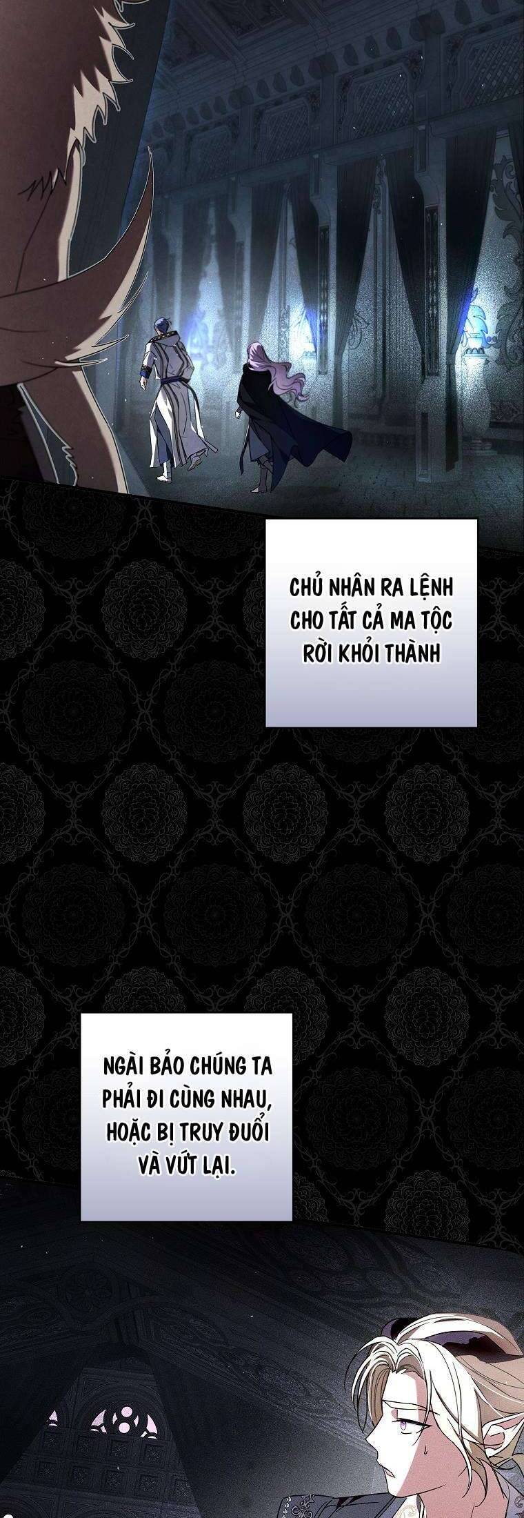 Các Nam Chính Đã Bị Nữ Phụ Cướp Mất Chapter 29 - Trang 2