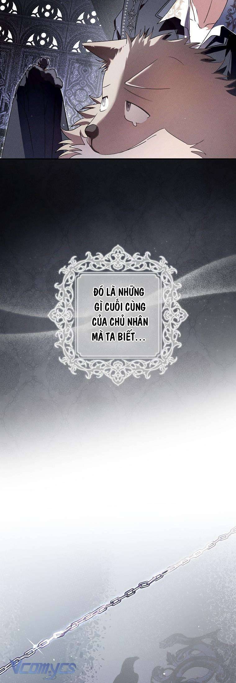 Các Nam Chính Đã Bị Nữ Phụ Cướp Mất Chapter 29 - Trang 2