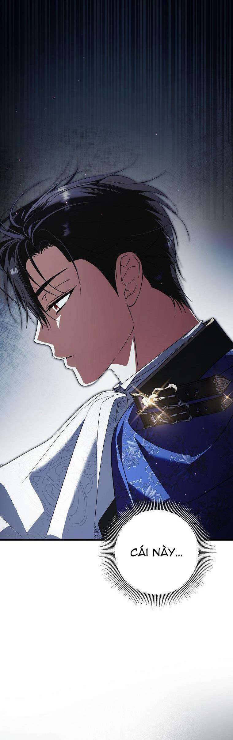 Các Nam Chính Đã Bị Nữ Phụ Cướp Mất Chapter 31 - Trang 2