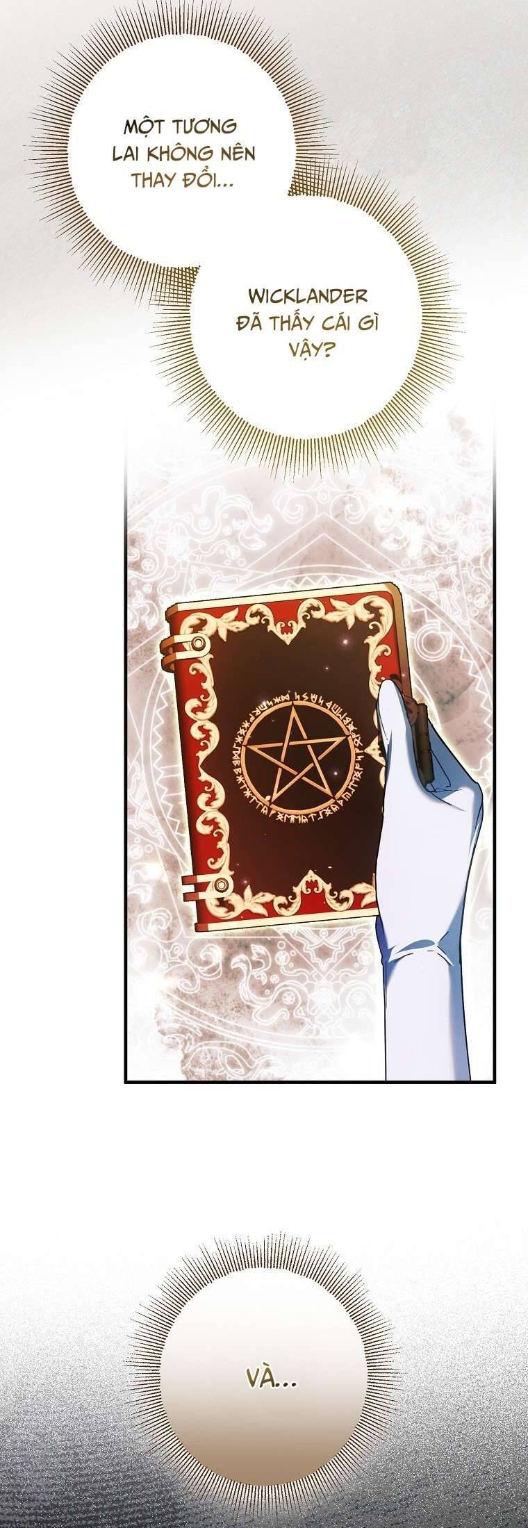 Các Nam Chính Đã Bị Nữ Phụ Cướp Mất Chapter 33 - Trang 2