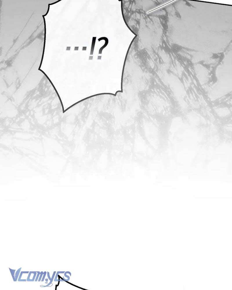 Các Nam Chính Đã Bị Nữ Phụ Cướp Mất Chapter 36 - Trang 2