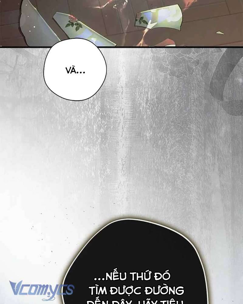 Các Nam Chính Đã Bị Nữ Phụ Cướp Mất Chapter 38 - Trang 2