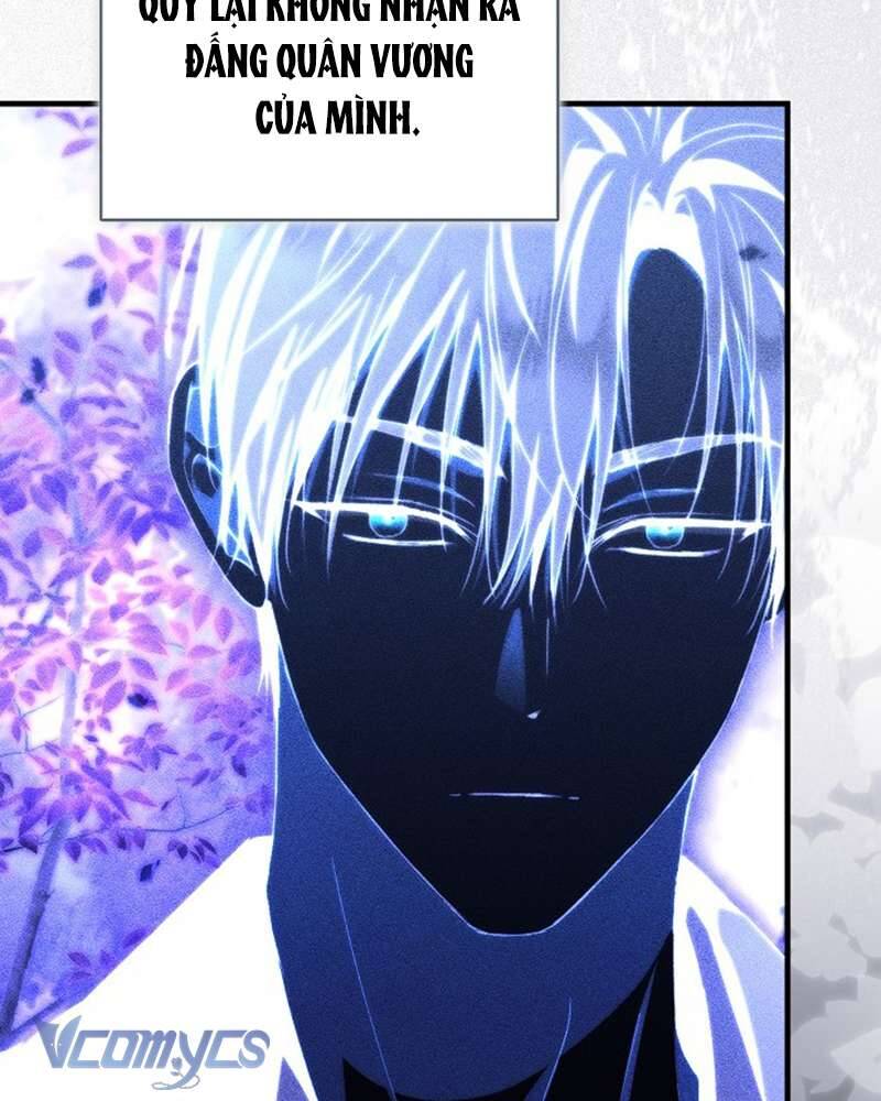 Các Nam Chính Đã Bị Nữ Phụ Cướp Mất Chapter 41 - Trang 2