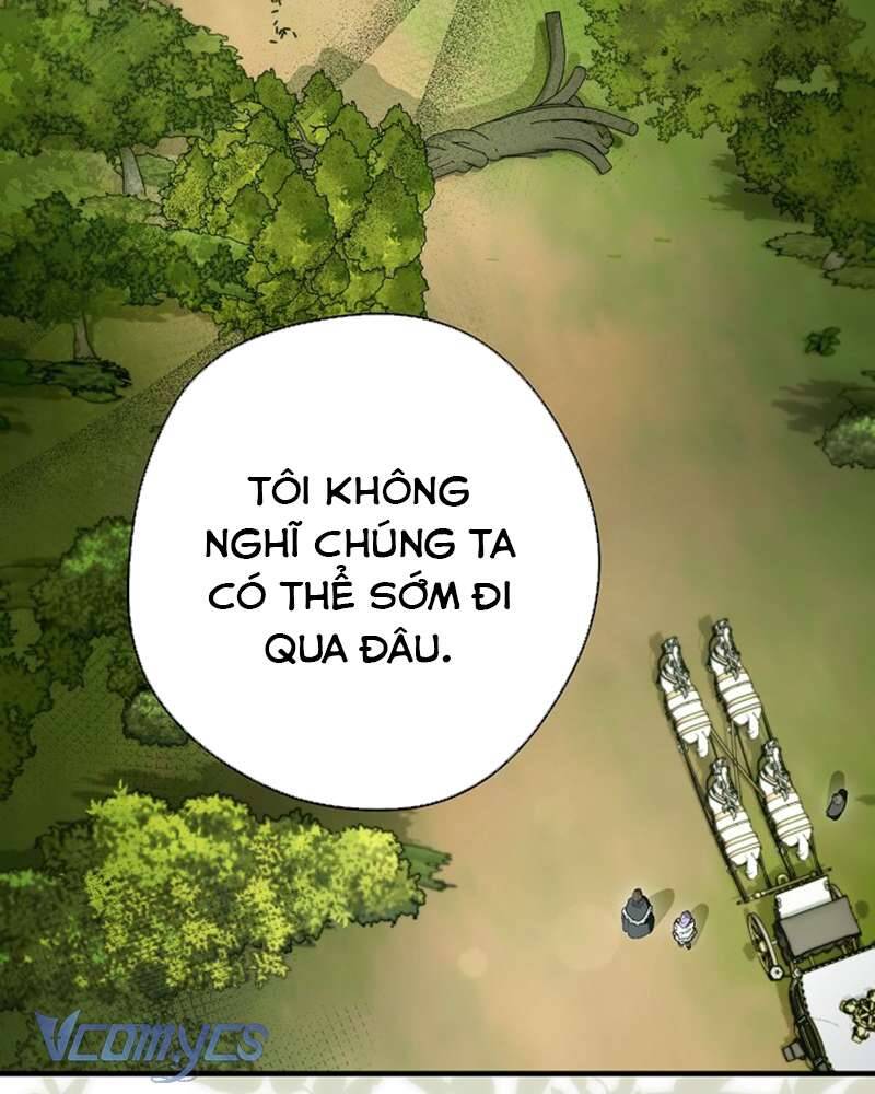 Các Nam Chính Đã Bị Nữ Phụ Cướp Mất Chapter 41 - Trang 2