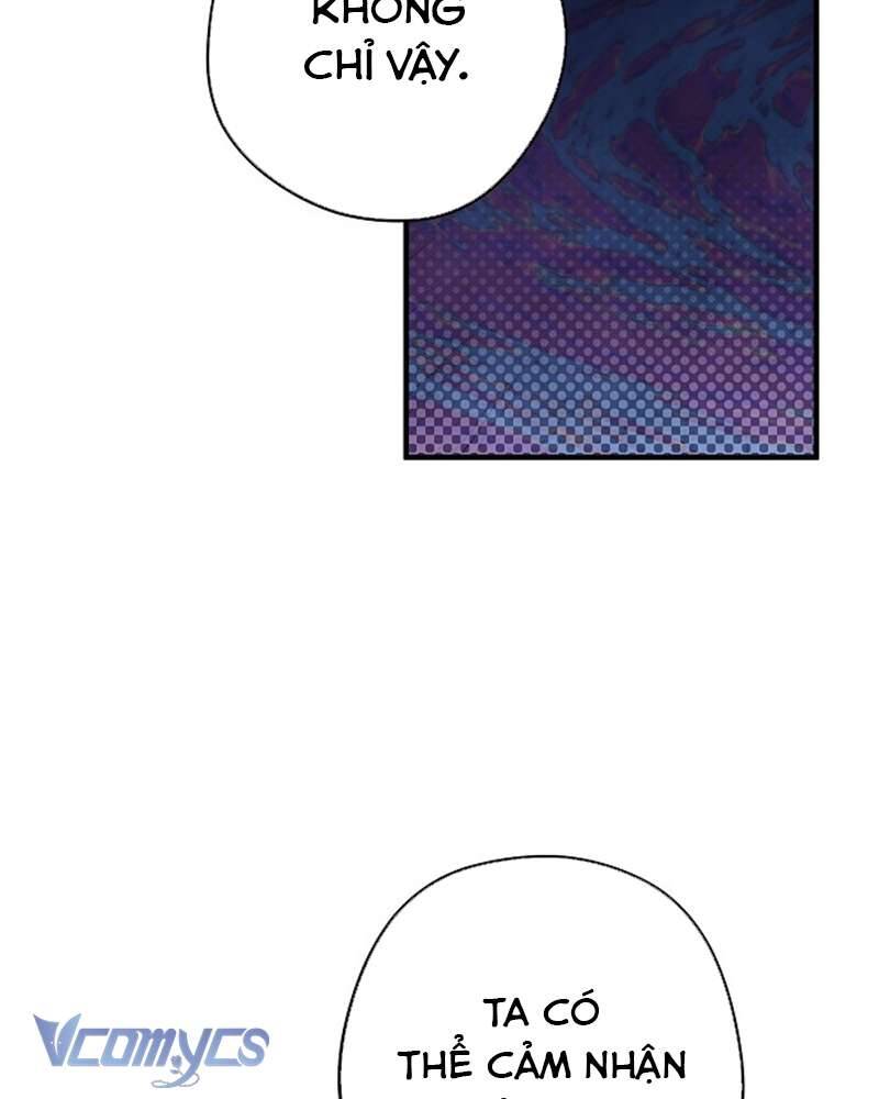 Các Nam Chính Đã Bị Nữ Phụ Cướp Mất Chapter 41 - Trang 2