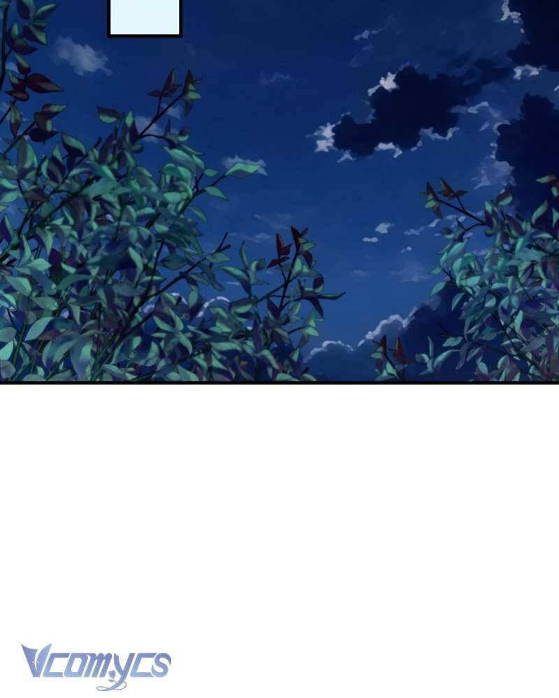 Các Nam Chính Đã Bị Nữ Phụ Cướp Mất Chapter 41 - Trang 2