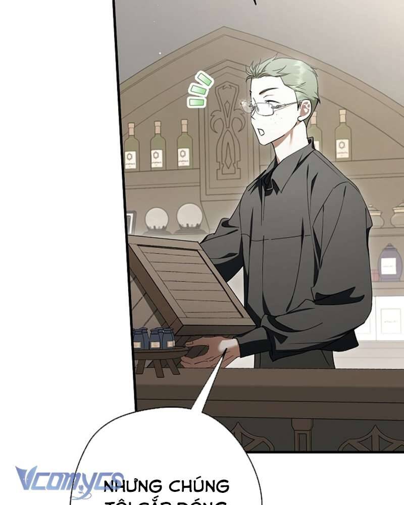 Các Nam Chính Đã Bị Nữ Phụ Cướp Mất Chapter 41 - Trang 2