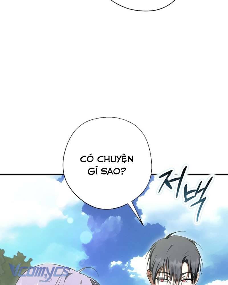 Các Nam Chính Đã Bị Nữ Phụ Cướp Mất Chapter 41 - Trang 2