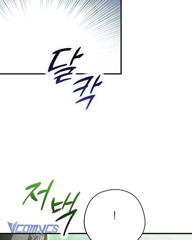 Các Nam Chính Đã Bị Nữ Phụ Cướp Mất Chapter 41 - Trang 2