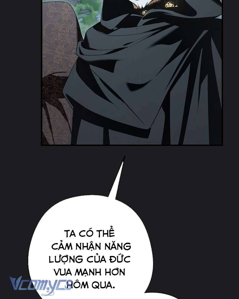 Các Nam Chính Đã Bị Nữ Phụ Cướp Mất Chapter 41 - Trang 2