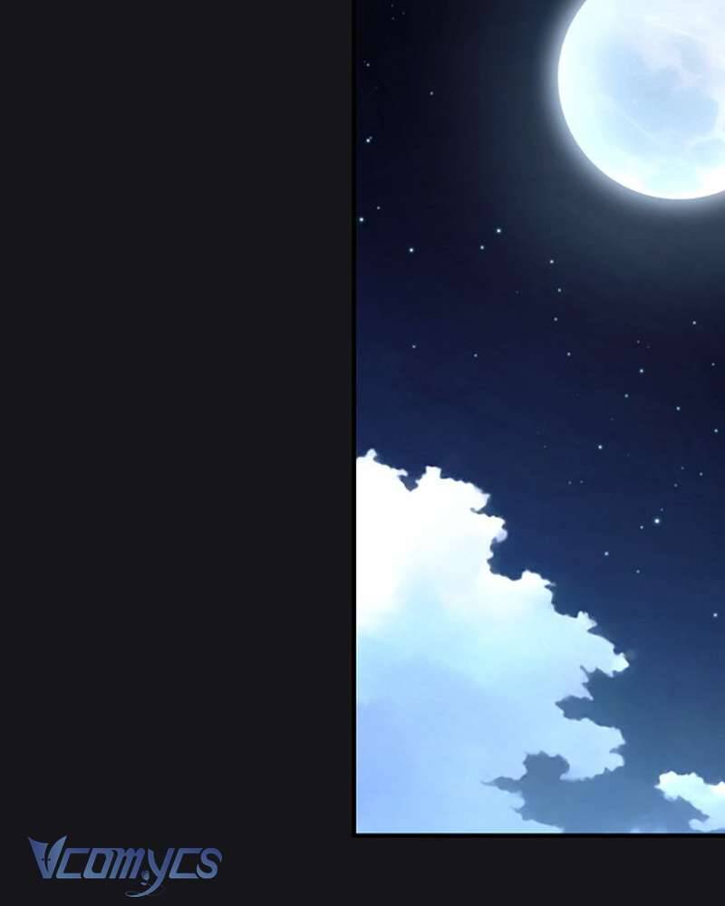 Các Nam Chính Đã Bị Nữ Phụ Cướp Mất Chapter 41 - Trang 2