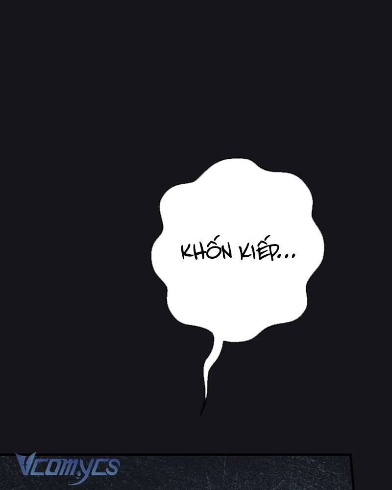 Các Nam Chính Đã Bị Nữ Phụ Cướp Mất Chapter 41 - Trang 2