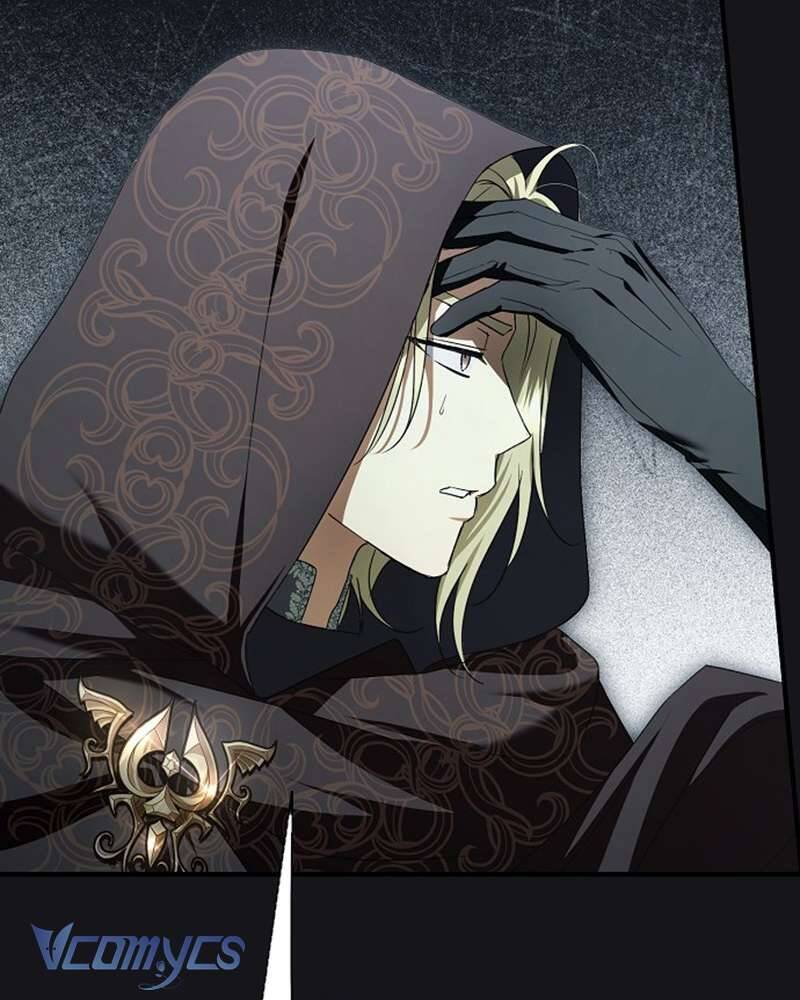 Các Nam Chính Đã Bị Nữ Phụ Cướp Mất Chapter 41 - Trang 2