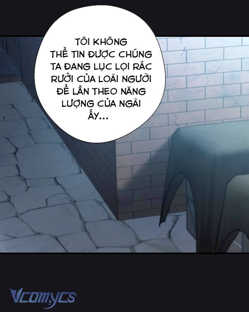 Các Nam Chính Đã Bị Nữ Phụ Cướp Mất Chapter 41 - Trang 2