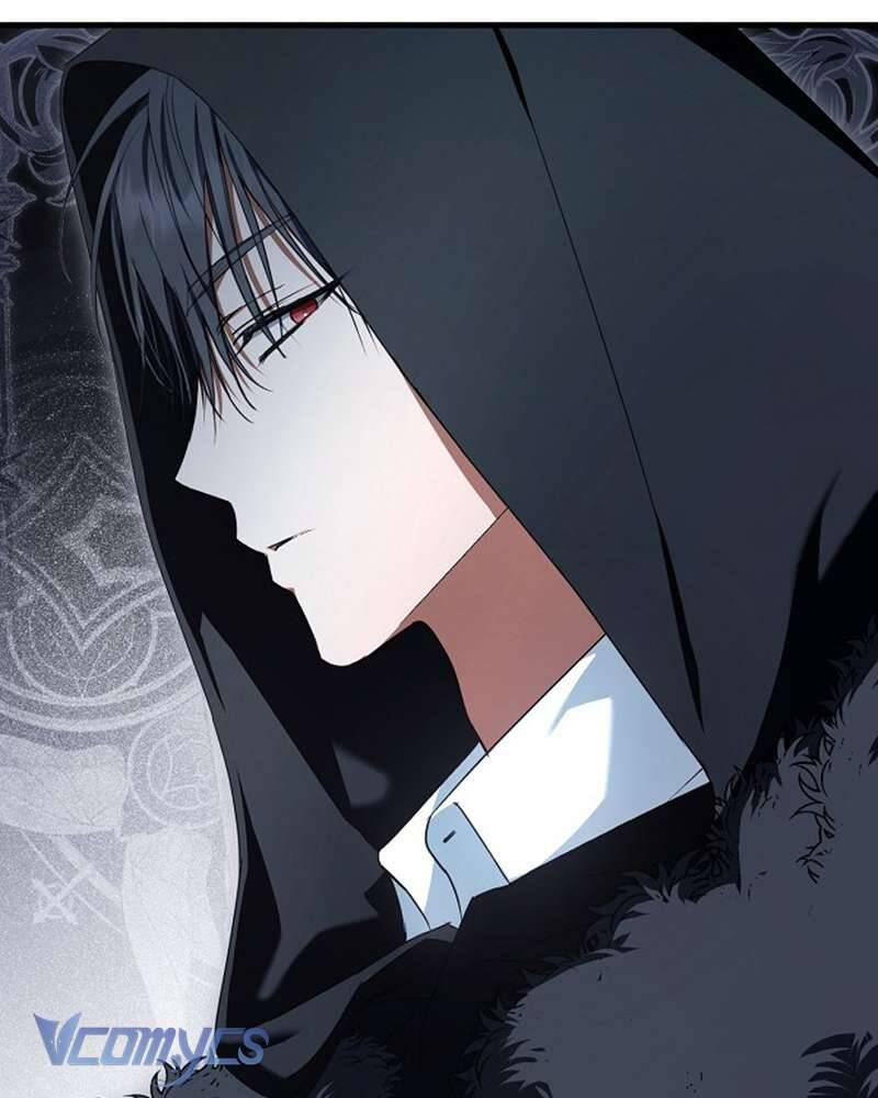 Các Nam Chính Đã Bị Nữ Phụ Cướp Mất Chapter 41 - Trang 2