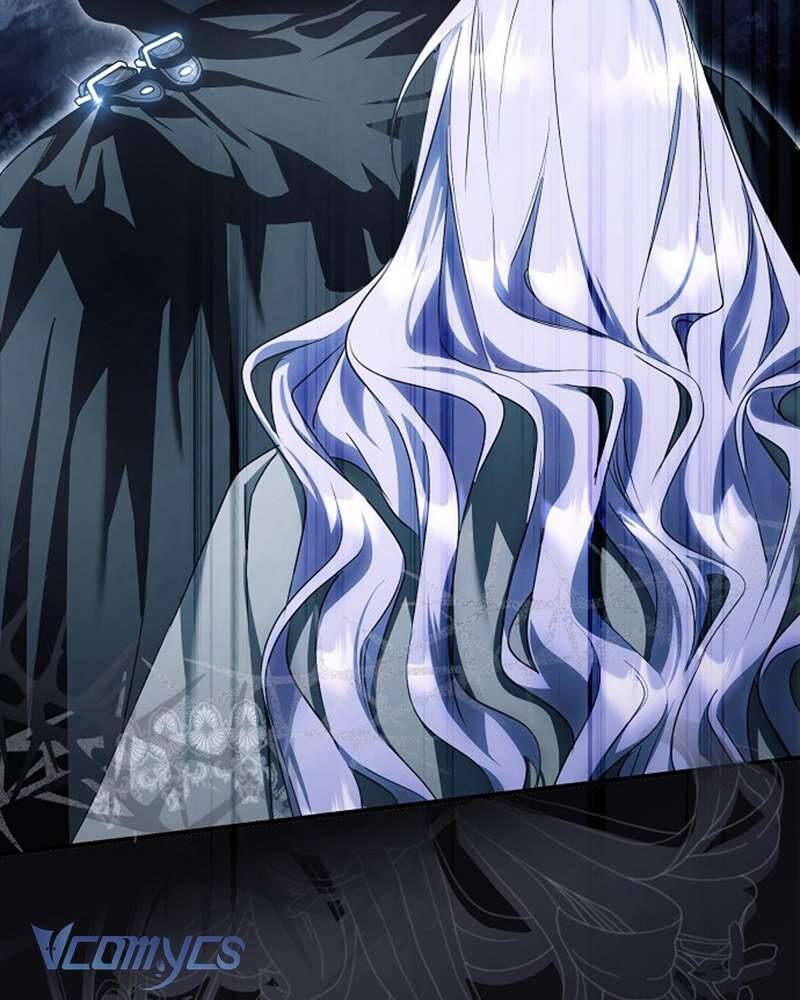 Các Nam Chính Đã Bị Nữ Phụ Cướp Mất Chapter 42 - Trang 2