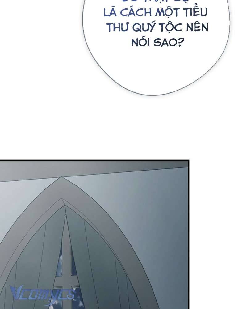 Các Nam Chính Đã Bị Nữ Phụ Cướp Mất Chapter 42 - Trang 2