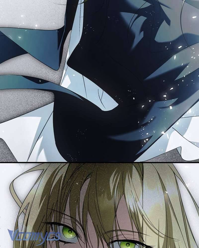 Các Nam Chính Đã Bị Nữ Phụ Cướp Mất Chapter 42 - Trang 2