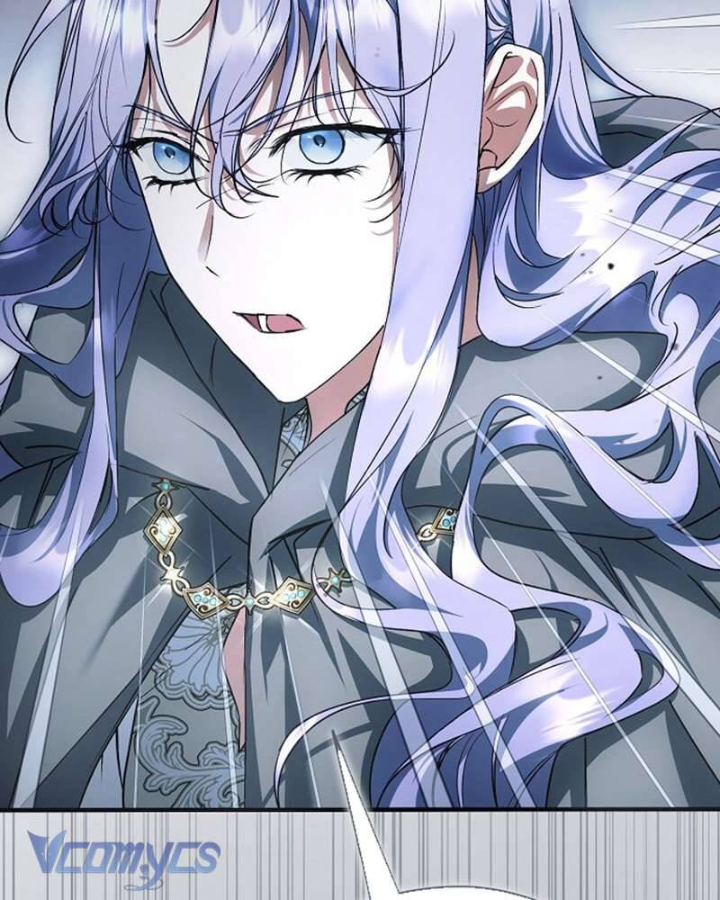 Các Nam Chính Đã Bị Nữ Phụ Cướp Mất Chapter 42 - Trang 2