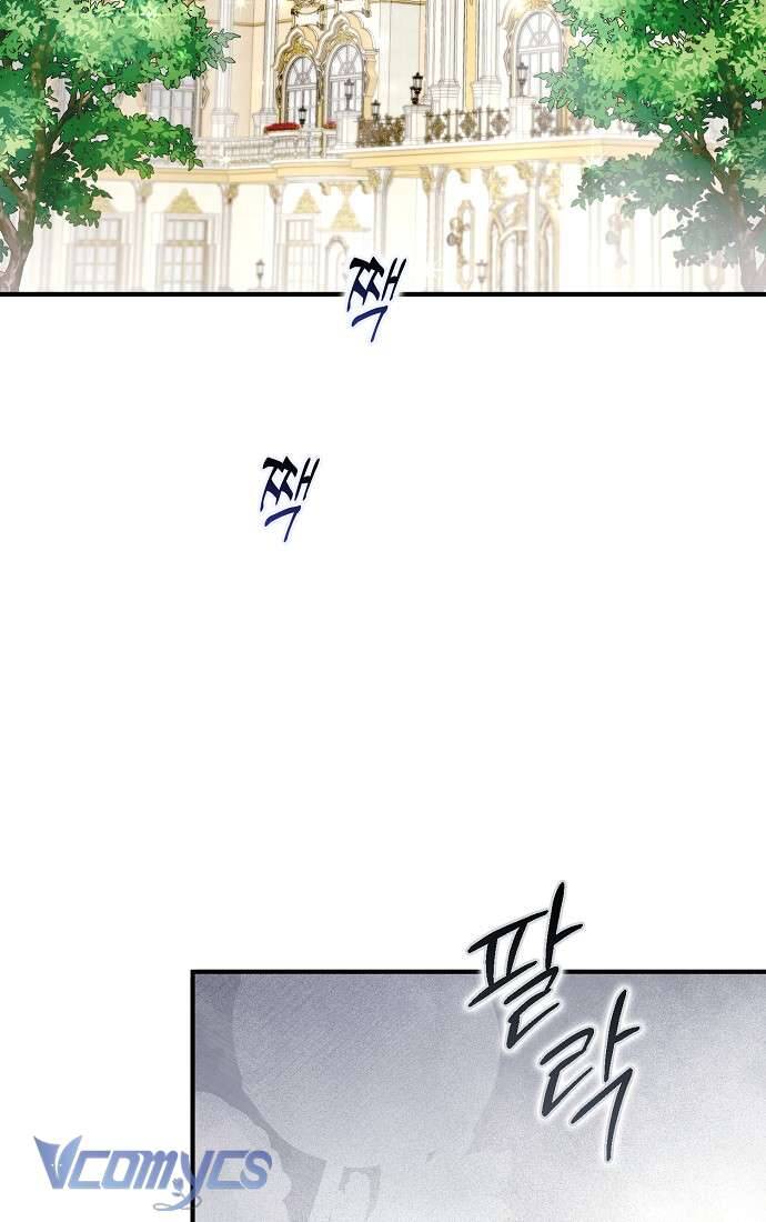 Các Nam Chính Đã Bị Nữ Phụ Cướp Mất Chapter 43 - Trang 2