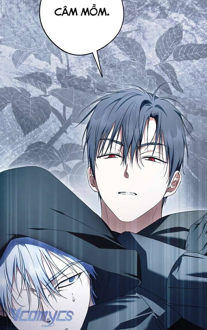 Các Nam Chính Đã Bị Nữ Phụ Cướp Mất Chapter 43 - Trang 2