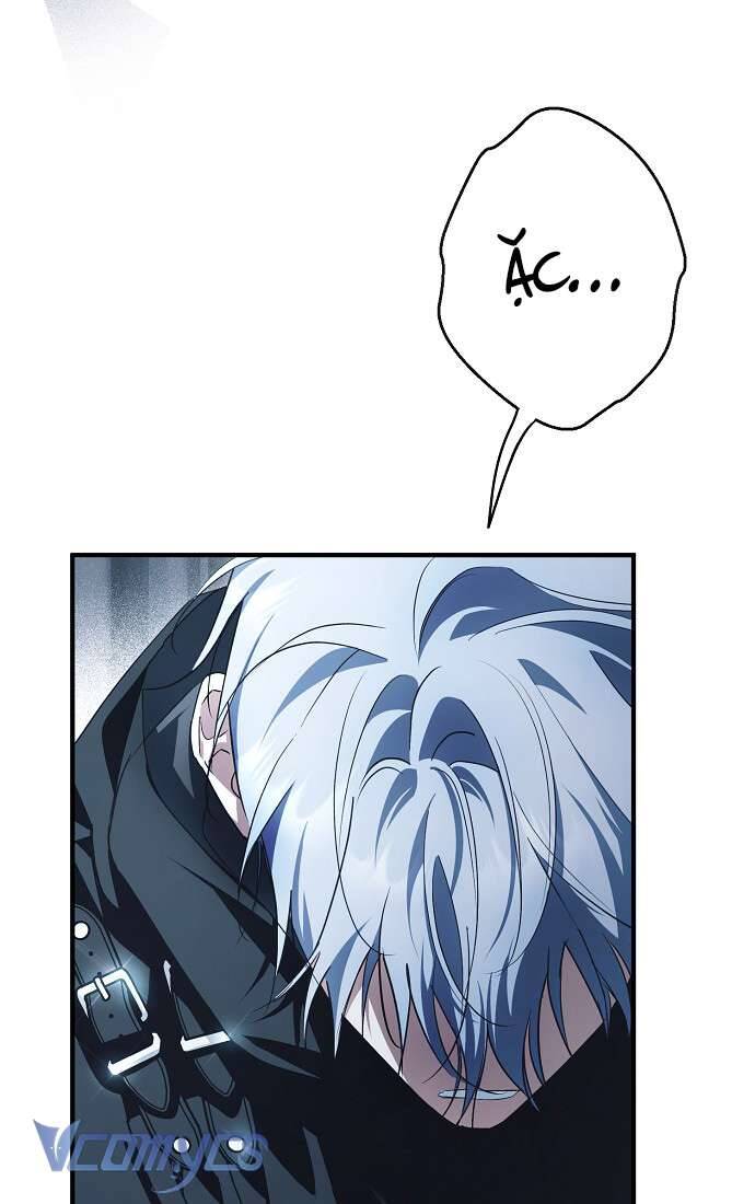 Các Nam Chính Đã Bị Nữ Phụ Cướp Mất Chapter 43 - Trang 2