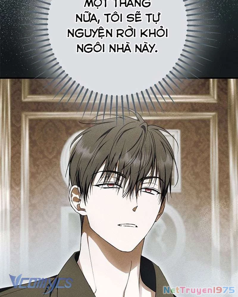 Các Nam Chính Đã Bị Nữ Phụ Cướp Mất Chapter 45 - Trang 2